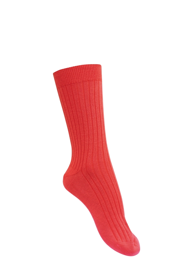 Chaussettes coton bio Santé  