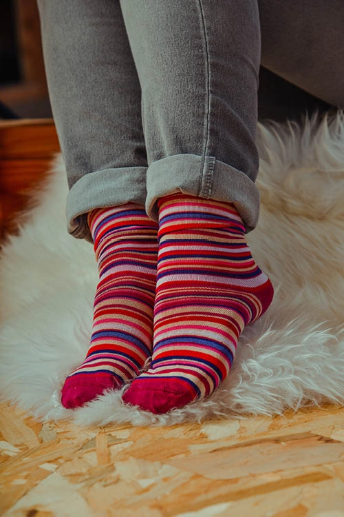 Chaussettes fil d'écosse bio classique