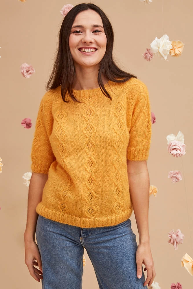 Pull mohair manches courtes pmca pe24 5